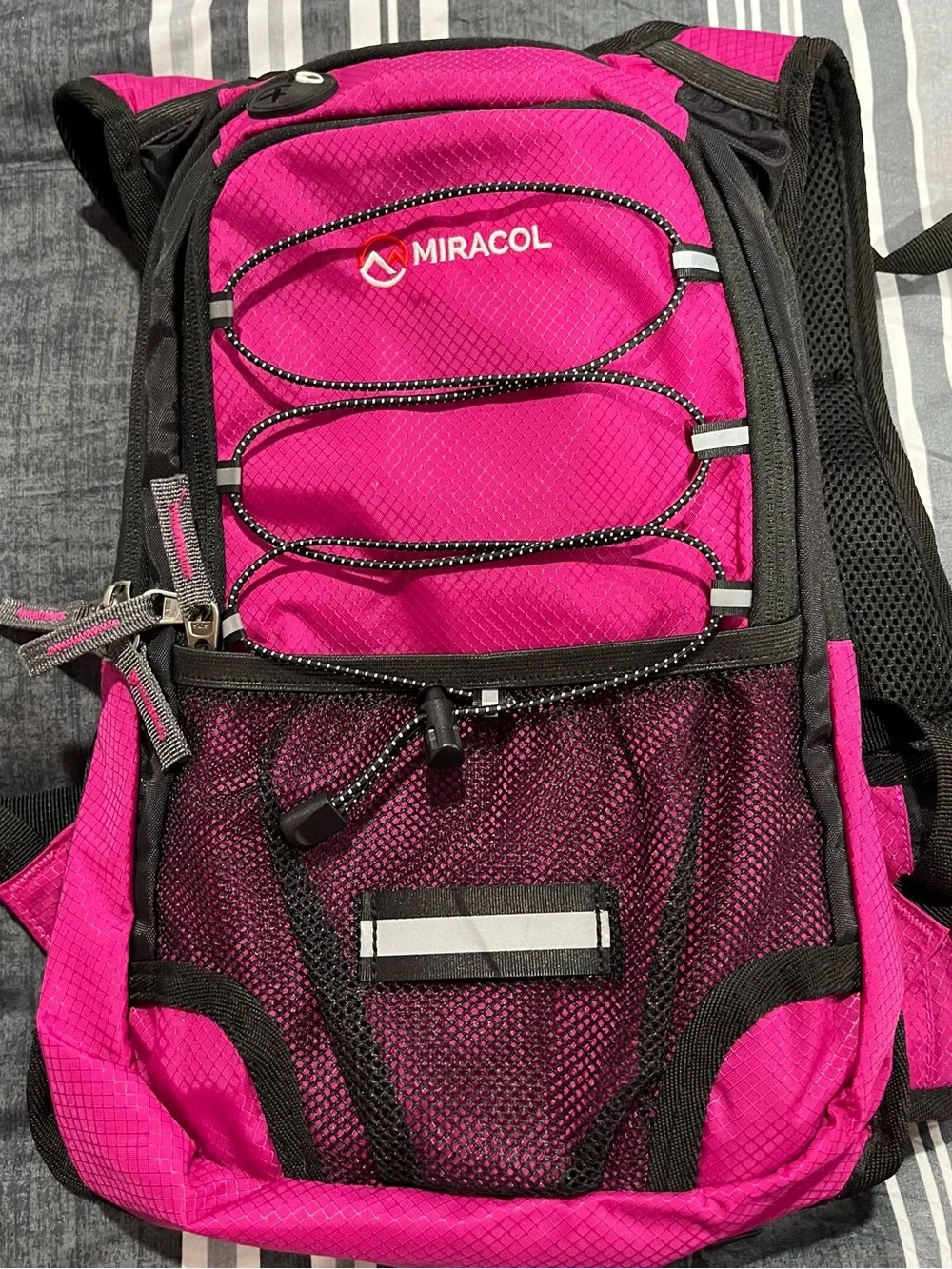 Men's Gray and Black Daypack Backpack